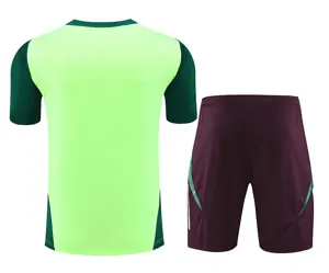 2024 Mexico Training Soccer Jerseys Football Shirts 3