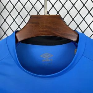 25-26 Santos Blue Goalkeeper Kit Football T-Shirt AAAAJersey Supply Yupoo 4