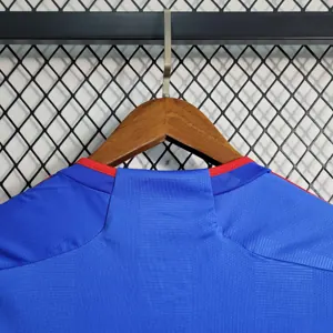 23-24 Lyon Away S-XXL Soccer Jerseys 4