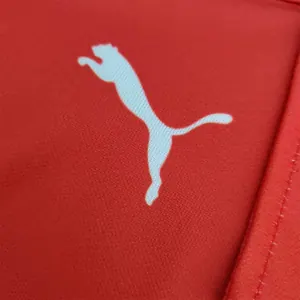 F1 Formula One; Ferrari racing suit Polo red 4