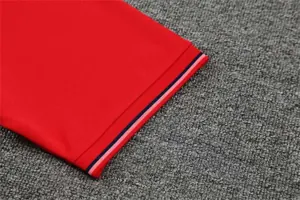 Atletico Madrid Polo red chest print 8