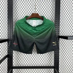 25-26 AC Milan Special Edition Shorts Soccer AAAAJersey Yupoo