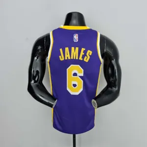 75th Anniversary James #6 Los Angeles Lakers Jordan Purple NBA Jersey 2