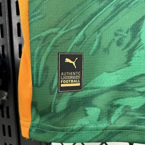 24-25 Dortmund Green Goalkeeper Shirt Football Uniform AAAAJersey Yupoo 2
