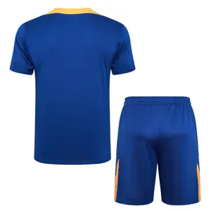 2024 Netherlands Training Soccer Jerseys Football Shirts 2