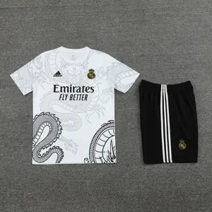 24-25 Real Madrid Training Soccer Jerseys Football Shirts 2