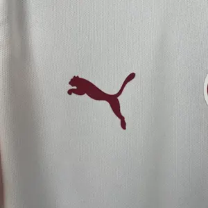 25-26 Galatasaray Away Kit Football Uniforms Sport Shirt AAAAJersey Supply Yupoo 4
