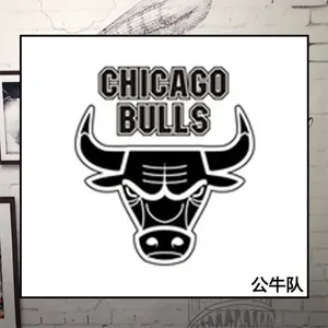 Chicago Bulls