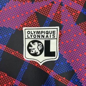 25-26 Lyon Pre-Match T-Shirt Football Apparels Soccer AAAAJersey Yupoo 3