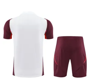 24-25 Bayern Training Soccer Jerseys Football Shirts 2