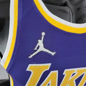 75th Anniversary TOSCANO #95 Los Angeles Lakers Jordan Purple NBA Jersey 9