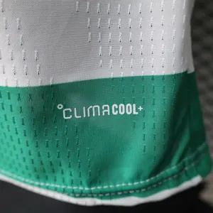 26-27 Celtic Home Mens Kit Player Version Football T-Shirt AAAAJersey Wholesale Yupoo 9 6