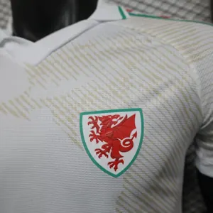 2026 Wales World Cup Away Kit Football Player Version T-Shirt AAAAJerseys Supply Yupoo 2
