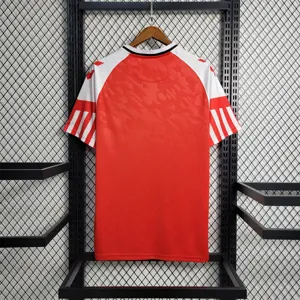 2023 Denmark home 4