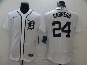 Detroit Tigers 22
