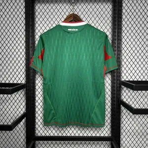 2010 Mexico home 1