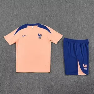 25-26 France Gold Training Kits Football Tracksuits 1