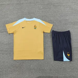 2024 France Training Soccer Jerseys Football Shirts 2