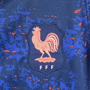 2025 France Home Women Shirt Lady Apparels AAAAJersey Supply Yupoo 3