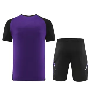 2024 Germany Training Soccer Jerseys Football Shirts 2