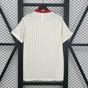 25-26 Benfica Retro StyleSpecial Edition Football Kit Soccer Cheap Shirt AAAAJersey Dropship Yu 3