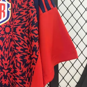 2024 Costa Rica Home Kit Copa America Uniform Soccer AAAAJerseys Yupoo 4