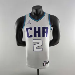 2019 Ball#2 Charlotte Hornets Grey NBA Jersey