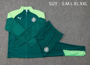 24-25 Palmeiras Jackets Football Shirts 2