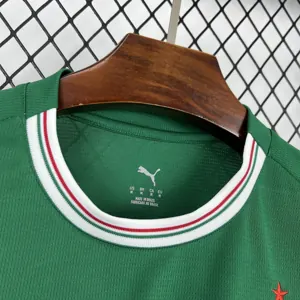 26-27 Palmeiras Home Kit Soccer T-Shirt AAAAJersey Dropship Yupoo 6
