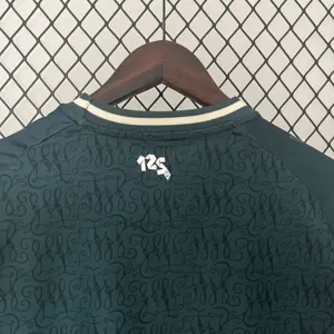 24-25 Werder Bremen 125th Anniversary Kit Special Edition Shirt Football Replicas Yupoo 6