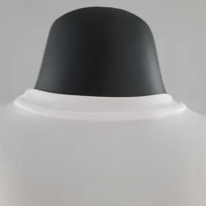 #K000219 1