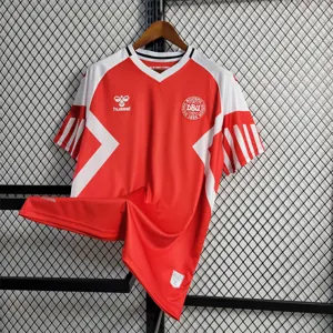 2023 Denmark home 3