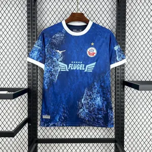 25-26 FC Hansa Rostock Baltic Sea Special Edition Shirt Football Uniform AAAAJersey Wholesale Y 4