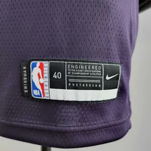 Minnesota Timberwolves ROSE#25 Black and Purple NBA Jersey 8