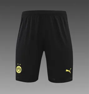 22-23 Dortmund Training Suit Short Sleeve Kit Grey 19
