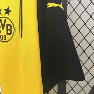 24-25 Dortmund BVB Home Kit Football Apparel AAAAJersey Wholesale Yupoo 6