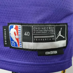 75th Anniversary James #23 Los Angeles Lakers Jordan Purple NBA Jersey 1