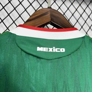 2010 Mexico home 3