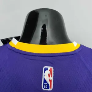 75th Anniversary Howard #39 Los Angeles Lakers Jordan Purple NBA Jersey 6
