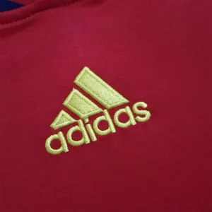 2010 Spain home 1