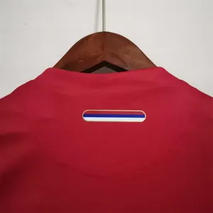 2010 Serbia home 4