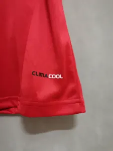 2010 Spain home 7