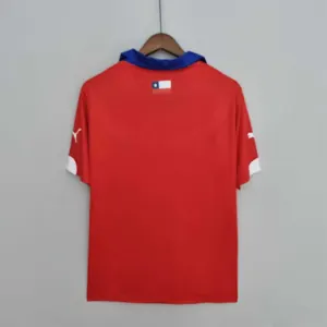 2014 Chile home 9