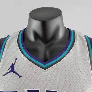 2019 Ball #1 Charlotte Hornets Grey NBA Jersey 4