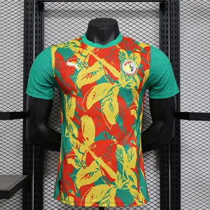 24-25 Senegal Pre-Match Kit Player Version Shirt Soccer AAAAJersey Yupoo