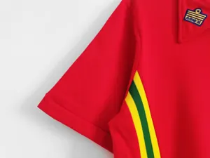 76-79 Wales home 3