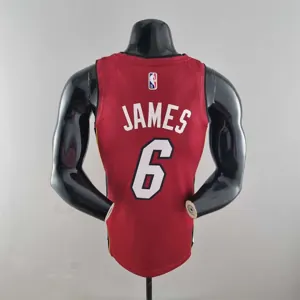 75th Anniversary Miami Heat Jordan JAMES #6 Burgundy NBA Jersey 9