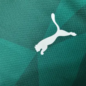 23-24 Palmeiras home S-4XL 3