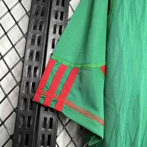 2010 Mexico home 2