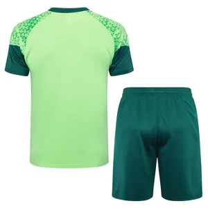 24-25 Palmeiras Training Soccer Jerseys Football Shirts 2